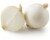 White Onions Perspective: front