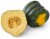 Green Acorn Squash Perspective: front