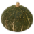 Buttercup Squash Perspective: front