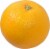 Fresh Medium Organic Valencia Oranges - Each Perspective: front