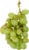Organic Green White Seedless Grapes Perspective: front