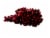 Organic Red Seedless Grapes Perspective: front