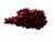 Organic Red Seedless Grapes Perspective: front