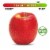 Organic Large Pink Lady Apple – Each Perspective: front