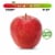 Organic Large Gala Apple – Each Perspective: front
