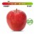 Organic Large Gala Apple – Each Perspective: front