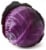 Organic Red Cabbage Perspective: front