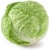 Organic Green Savoy Cabbage Perspective: front