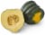 Organic Acorn Squash Perspective: front
