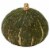 Buttercup Squash Perspective: front