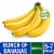 Fresh Bunch of Organic Bananas – 5-7 Bananas Perspective: front