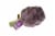 Ocean Mist Farms Purple Artichoke Perspective: front