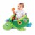 Turtle Ball Pit Perspective: front