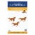 Hammermill® Fore™ Multipurpose Paper Perspective: front