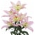 Bloom Haus Assorted Longiflorum Asiatic Hybrid Lilies Perspective: front