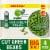 Simple Truth Organic® Cut Canned Green Beans BIG DEAL! Perspective: front
