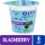 Kroger® CARBmaster® Blackberry Lactose Free Lowfat Yogurt Cup Perspective: front