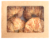 Bakery Fresh Goodness All Butter Croissants Perspective: front