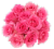 Bloom Haus™ Dozen Rose Bunch - Pink Perspective: front