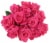 Bloom Haus™ Dozen Rose Bunch - Hot Pink Perspective: front