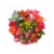 Bloom Haus Rose Garden Fresh Cut Flower Bouquet Perspective: front