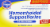 Kroger® Hemorrhoidal Suppositories Perspective: front