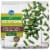 Kroger® Traditional Favorites Frozen Green Beans Cut Perspective: front