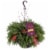 Bloom Haus Outdoor Holiday Hanging Basket Perspective: front