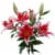 Bloom Haus Oriental Lily Bunch Perspective: front