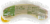 Heritage Farm™ Smoked Sausage Perspective: front