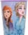 Unique Disney Frozen 2 Plastic Cup Perspective: front
