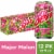Mountain Dew® Major Melon Soda Cans Perspective: front