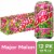 Mountain Dew® Major Melon Soda Cans Perspective: front