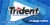 Trident Original Sugar Free Gum Perspective: front