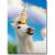 Avanti Uni-Horse Funny / Humorous Birthday Card Perspective: front