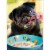 Avanti Dog Alphabet Cereal Stand Out Pop-Up Valentine's Day Card Perspective: front