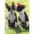 Avanti Kissing Boxers Dog Valentine's Day Card Perspective: front