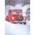 Avanti Dogs in Truck Christmas Card Perspective: front
