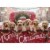 Avanti Lab Puppies In Red Truck Dog Christmas Card Perspective: front