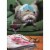 Avanti Upside Down Cat Reading Book Funny Mother's Day Card Perspective: front