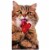 Avanti Cat With Heart Lollipop Little Big Funny Die Cut Valentine's Day Card Perspective: front
