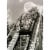 Avanti Roller Coaster America Collection Birthday Card Perspective: front