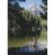 Avanti Fly Fisherman America Collection Birthday Card Perspective: front