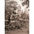 Avanti Central Park Couple America Collection Anniversary Card Perspective: front