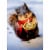 Avanti Snowy Squirrel Holds Candle Christmas Card Perspective: front