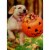 Avanti Puppy With Pumpkin Bucket Cute Dog Halloween Card Perspective: front