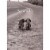 Avanti Dog Couple On Path Romantic Valentine's Day Card Perspective: front