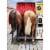 Avanti Horses In Photo Booth Funny Birthday Card Perspective: front