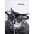 Avanti Thinking Cat Funny / Humorous Graduation Card Perspective: front