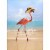 Avanti Fancy Flamingo On Beach Funny / Humorous Mother's Day Card Perspective: front